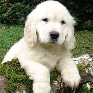 New Balances for @102taina